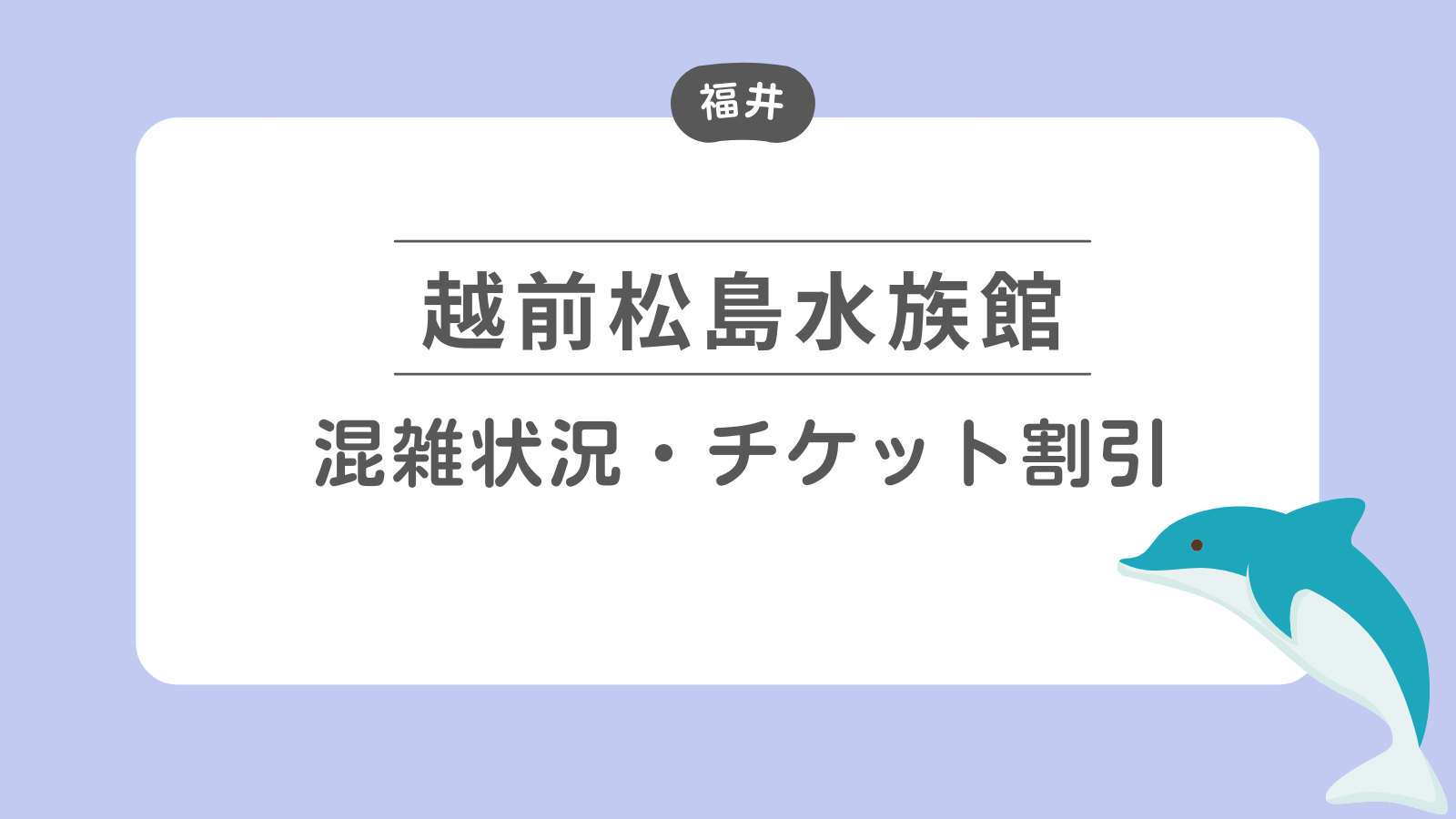 越前松島水族館　混雑状況・チケット割引